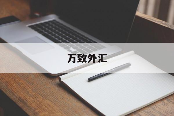 万致外汇(万致外汇app)